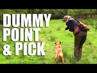 Gundog Summer Boot Camp: Dummy Point & Pick