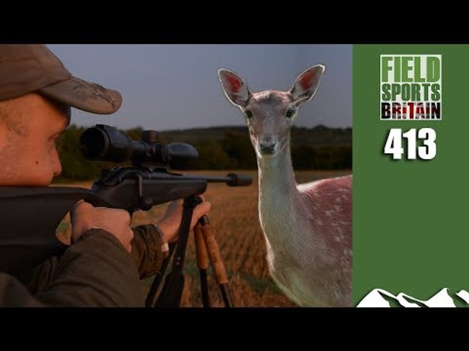 Fieldsports Britain - Fallow Cull