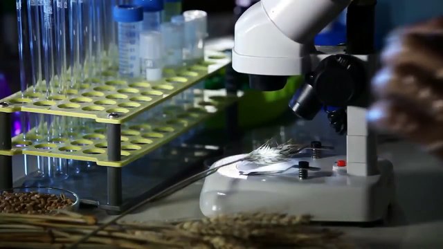 КАК ИЗМЕНИТСЯ МИР ДО 2049 ГОДА