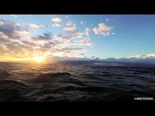 You Won't Believe How Hard It Is To Shoot One Of Nature's Greatest Migrations | Fish'n Tings, Ep. 1