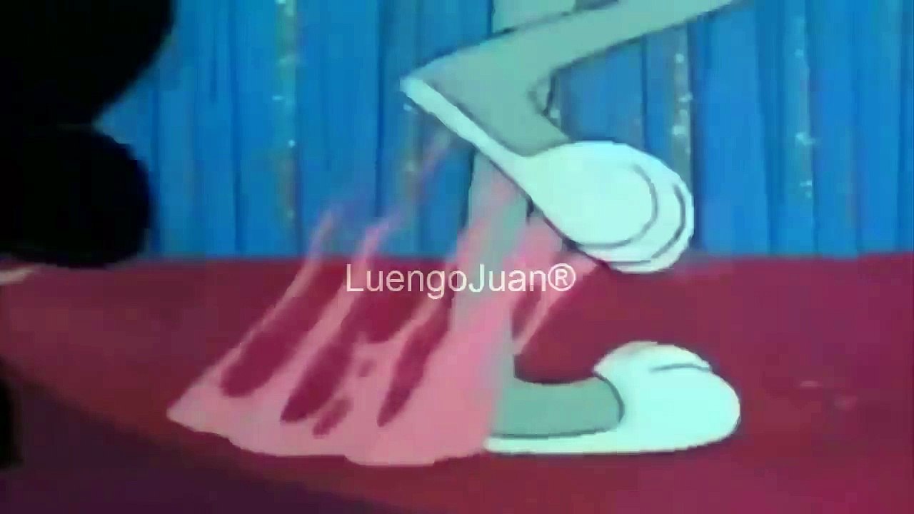 ---Funny clips #8