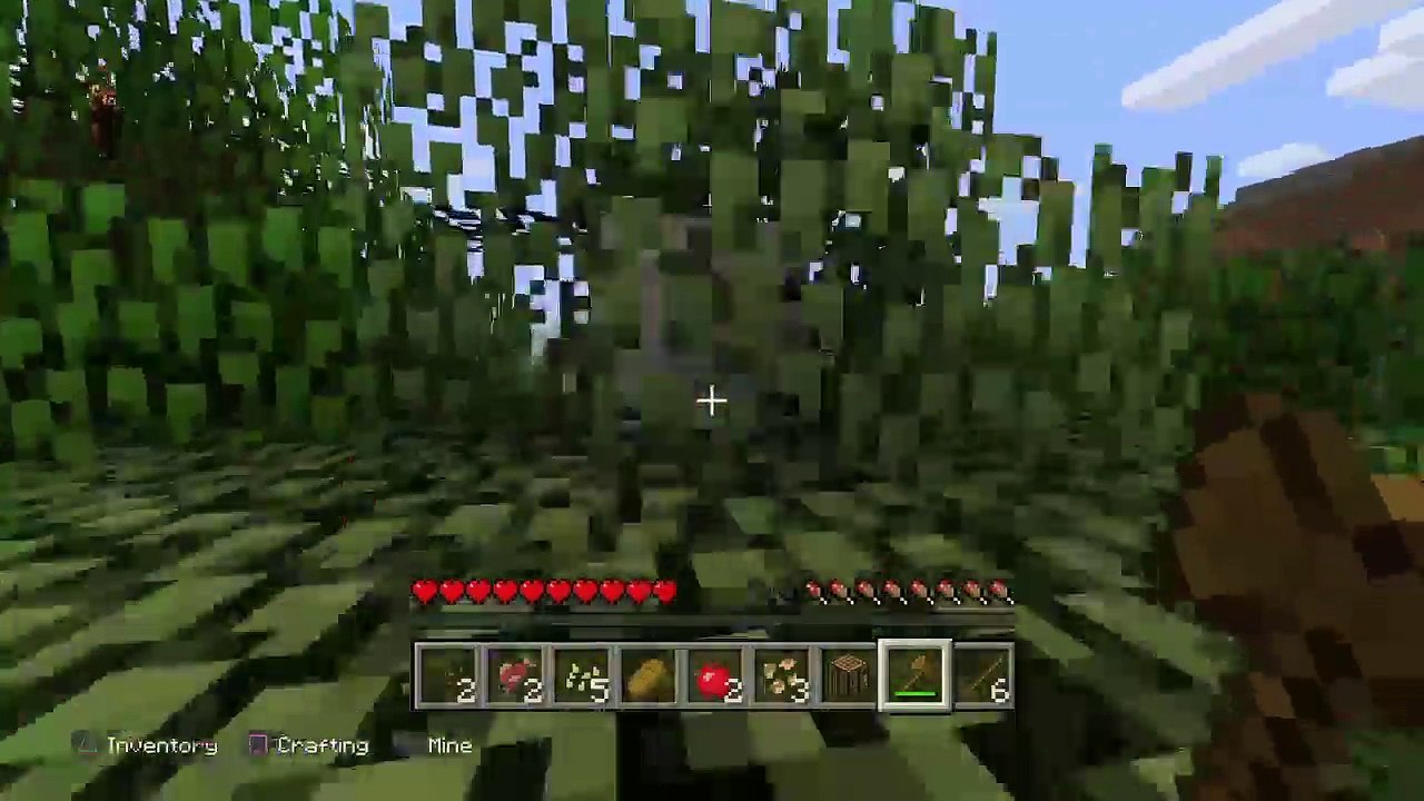 Autism (85)