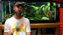 My Aquarium Box - A subscription based service made for fish keepers by fish keepers.-jaGQT8i9ZKI