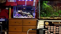 My Aquarium Box - Get yours by MARCH 4th and start your Monthly Aquatic Experience.-dkh4g1bRsIw