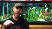 The Pros & Cons of having Pressurized CO2 in the Planted Aquarium-cLQz1JCMs30