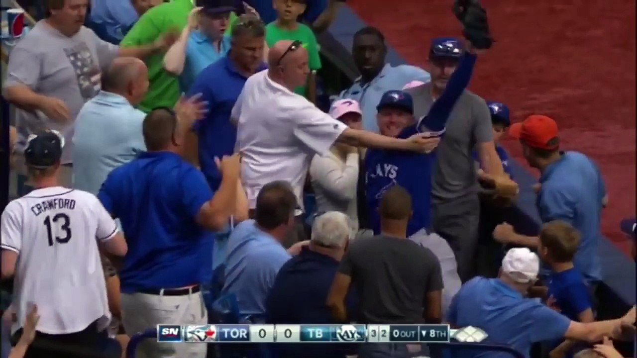 Greatest Catches in MLB History video Dailymotion