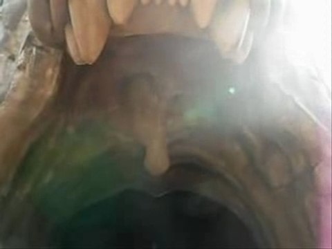 Au Pays des Contes de Fées Disneyland