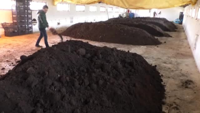 Girişimcilik Ruhu Memurluğu Bıraktırdı, Kendi İşinin Patronu Oldu