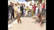 Monkey and Man Fight Monkey Charmer Funny Video