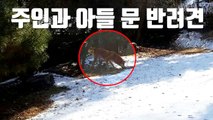 [자막뉴스] 주인과 아들 문 반려견...출동한 경찰이 사살 / YTN