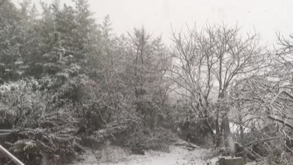 [YTN 실시간뉴스] 서해안 최고 15cm 눈...내일 서울 영하 11도 / YTN