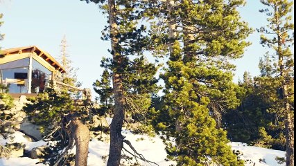 POBEGAO IZ OGROMNIH 220 KVADRATA: Batalio život u VILI da bi živeo u KUĆICI NA DRVETU! Pogledajte kako ju je sredio!