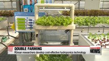 Korean researchers develop cost-effective hydroponics technology