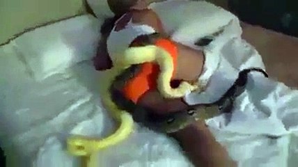 ils jettent à cette fille 3 serpents dans sont lit HAHA