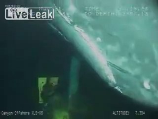 Apparition surprise d'une baleine pendant l'inspection d'une plateforme pétrolière !