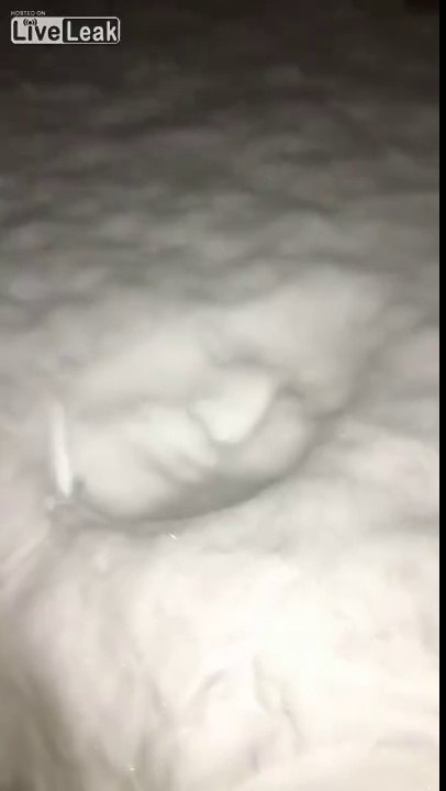 Le visage de Trump est imprimé dans la neige ! Il est partout...