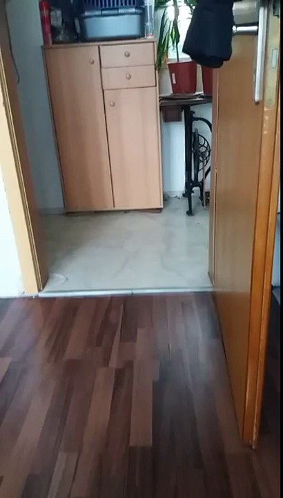 instagram live lesbian part 2