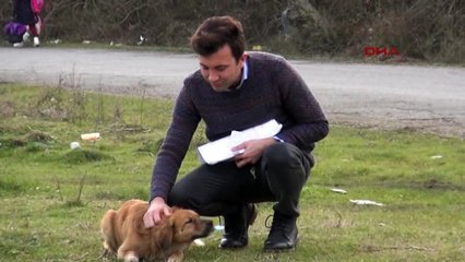 Dedektif gibi iz sürüp korkunç gerçeği ortaya çıkarttı