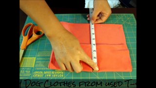 How to Create Dog Clothes from Used T-shirt - DIY Dog Clothes