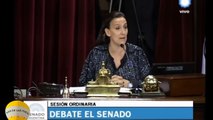 Pichetto a Michetti ud. no debate y si no se respeta el reglamento vamos a actuar como oposición_