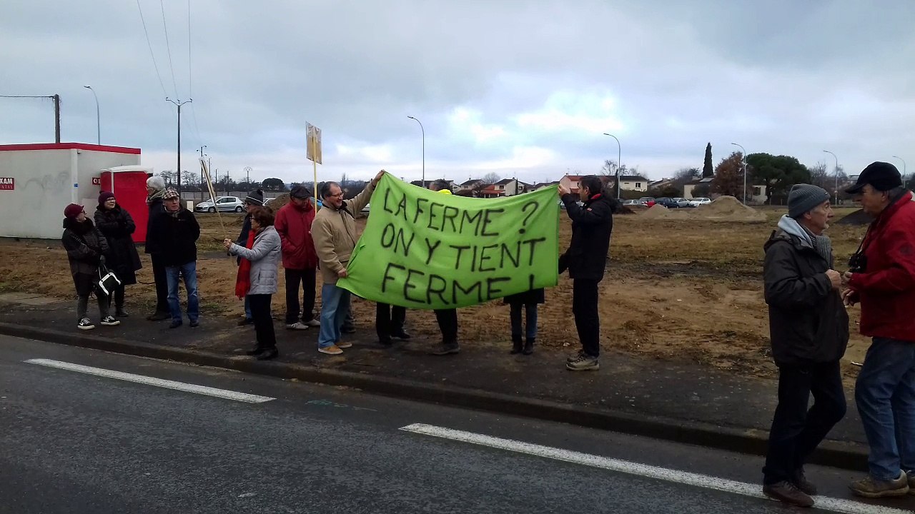 Albi : les opposants au projet de Leroy Merlin ne baissent pas les bras
