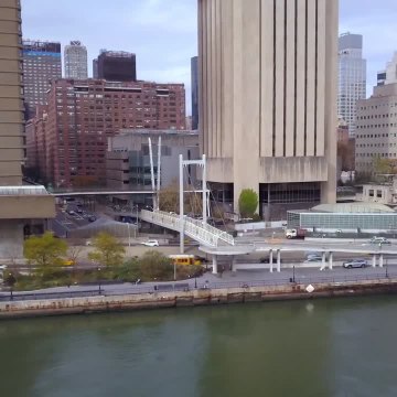 These viruses could be our best way to fight antibiotic-resistant superbugs