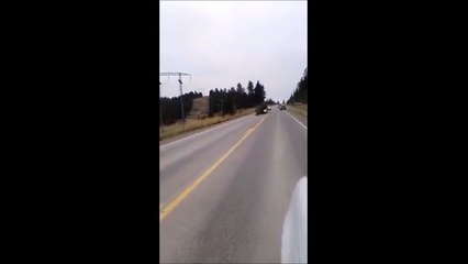 Quand papa remmène un sapin de Noel... LoL