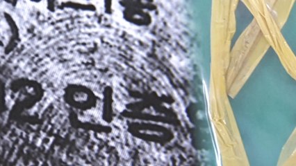 1㎝ 반쪽 지문의 진실은?...용의자 무죄 선고 / YTN