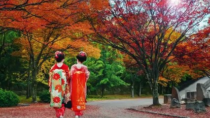 Juan Carlos Briquet: ¡CHISTOSAMENTE PRÁCTICO! – 2 Tipos de hoteles japoneses