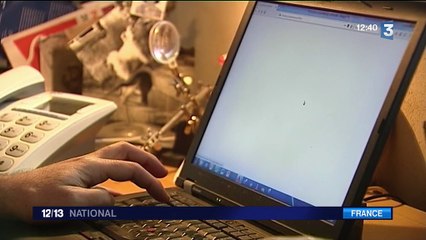 Haute-Loire : l'accès au haut débit, un casse-tête dans les zones blanches