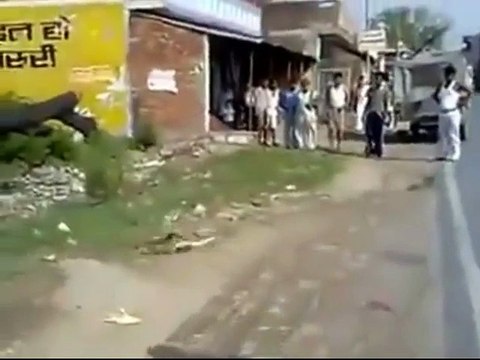 Snake vs Newala Real Fight ! indian Village animal Fight ! Viral Fight