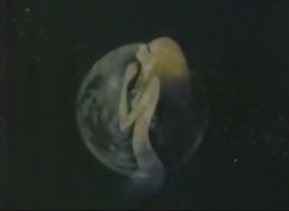 テレサよ永遠に＜宇宙戦艦ヤマト2＞