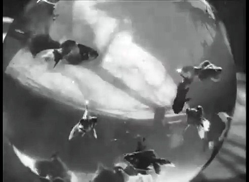 Bocal aux poissons-rouges (1895)