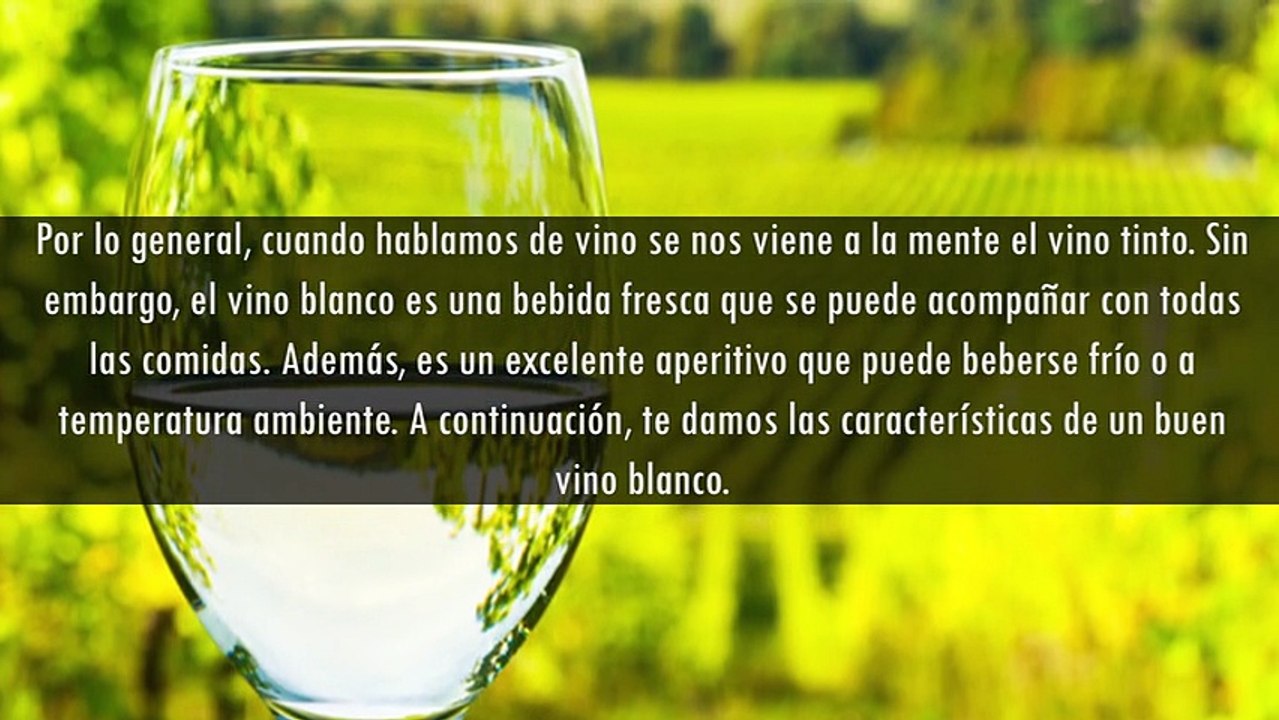 José Elarba: ¡EXQUISITO! – Un buen Vino Blanco