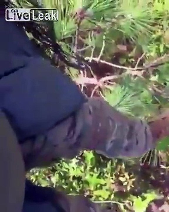 Soldier hangs from tree after failed parachute landing