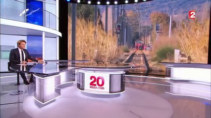 Collision mortelle à Millas : y a-t-il dysfonctionnement de certains passages à niveau ?