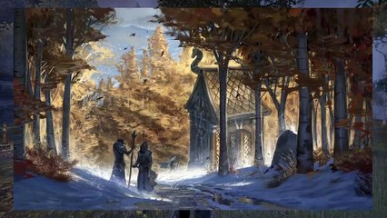 DonAleszandro The Elder Scrolls «-Magierbücher farmen in Rift mit Don Knight Blade-» (506)