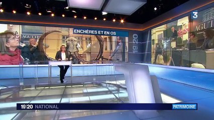 Un squelette de mammouth vendu 430 000 euros