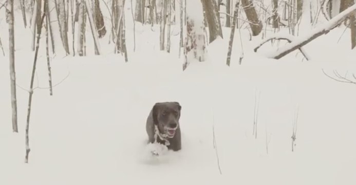 Lake Effect Snow Creates Winter Wonderland in Erie