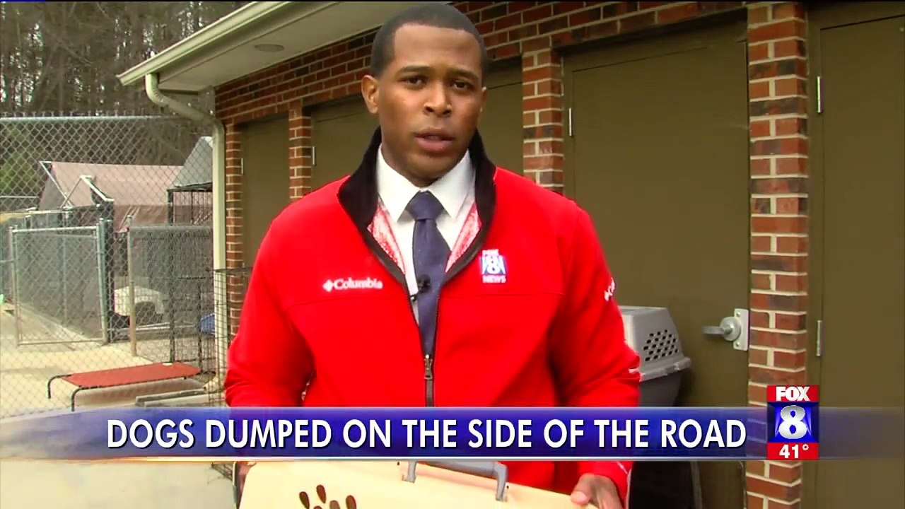 Dog Found Abandoned in Cage Along Snowy North Carolina Road