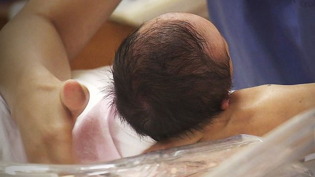 이대목동병원 신생아 4명 잇따라 숨져...경찰 수사 / YTN