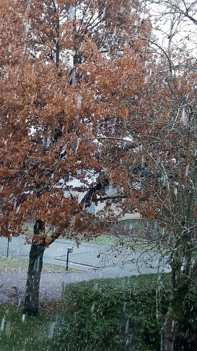 29 Novembre 2017 : Il neige