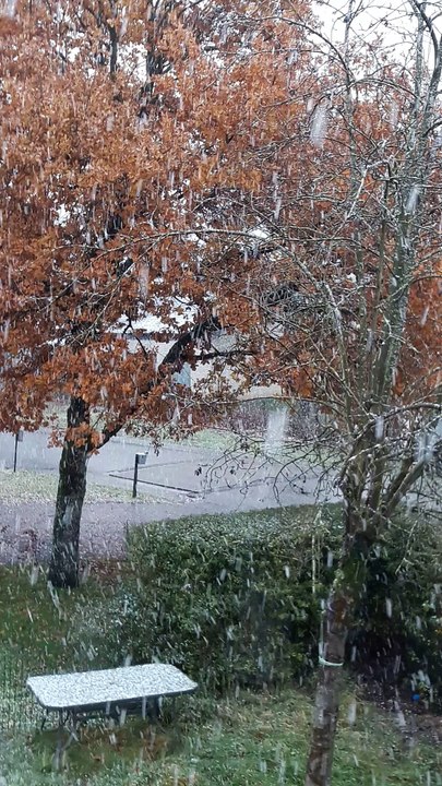 29 Novembre 2017 : Il neige