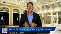 Pocka Dola: Carpet Cleaning Melbourne Wheelers Hill Terrific 5 Star Review by Alex Cannon