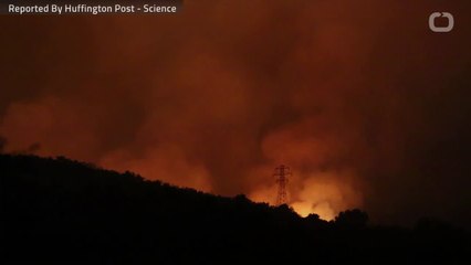 California Has Burned Through Wildfire Spending Budget