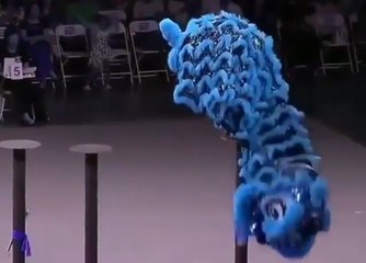 Amazing lion dancing ever in china