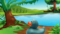 5 Little Ducks - Nursery Rhymes - ABC 123 - Baby - Kids Songs - Sing Along