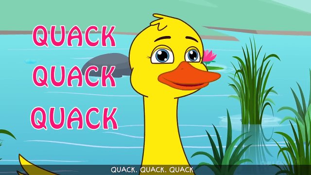 Five Little Ducks (SINGLE) _ Nursery Rhymes by Cutians _ ChuChu TV Kids Songs-tJU_l6Xc0Sk
