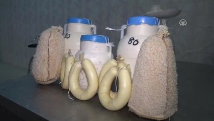 Erzincan Tulum Peyniri"Nin Kangalını Üretti