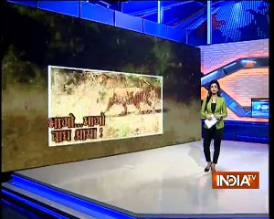 Panic aroused after stray tiger enters into a wedding area in Maharashtra